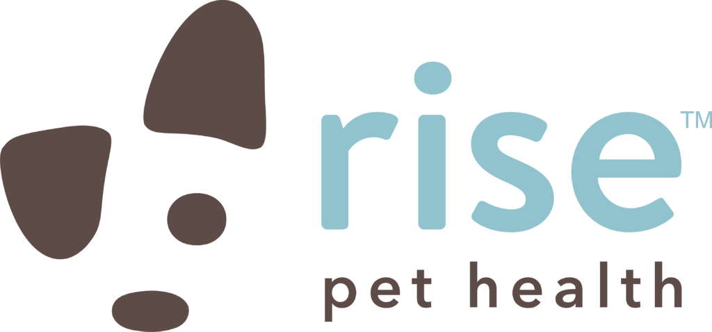 Rise Pet Health Specialty Veterinary Care In Laguna Hills Ca