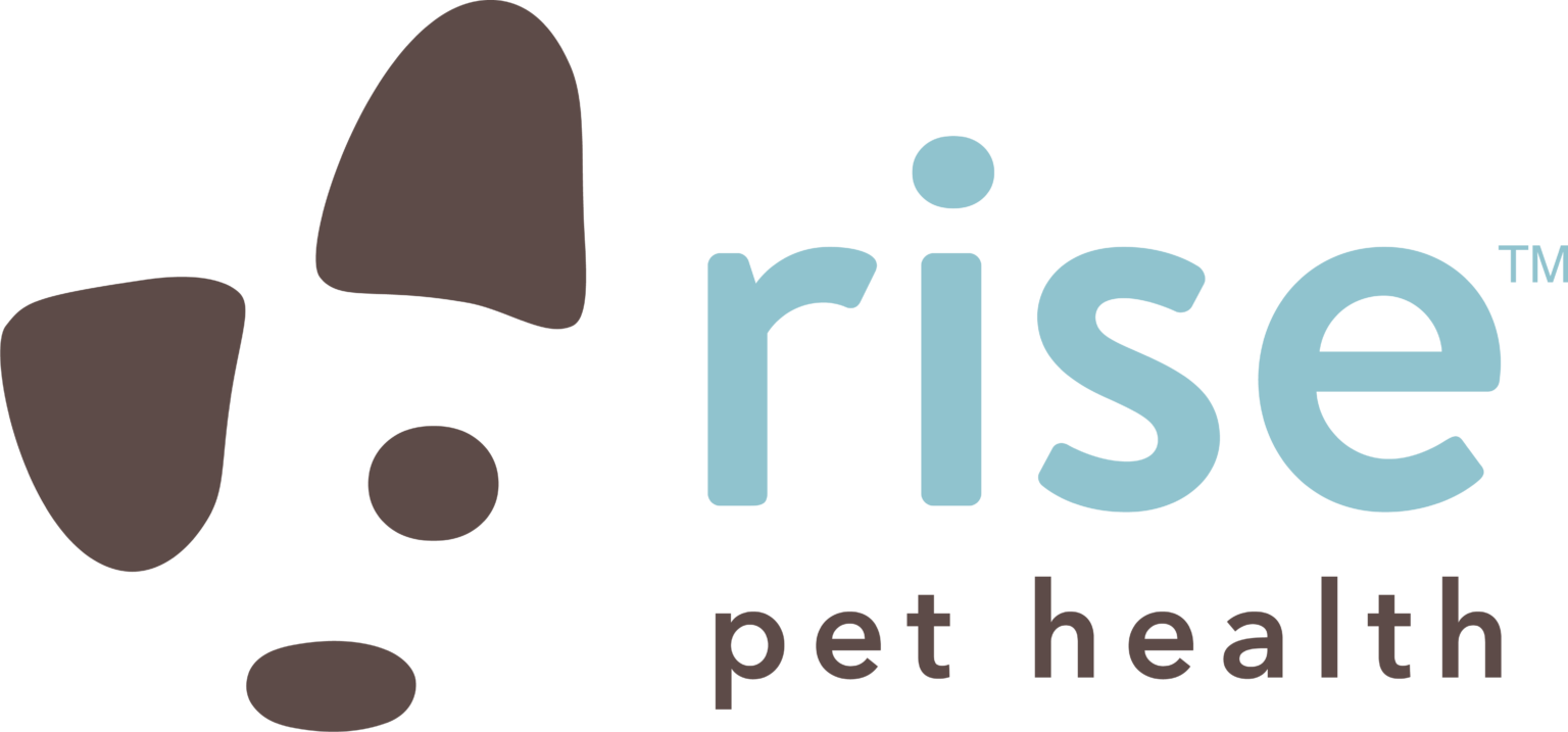 Rise Pet Health Emergency & Specialty Hospital