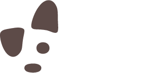 Rise Logo Color White Text
