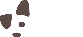 Rise Logo Color White Text