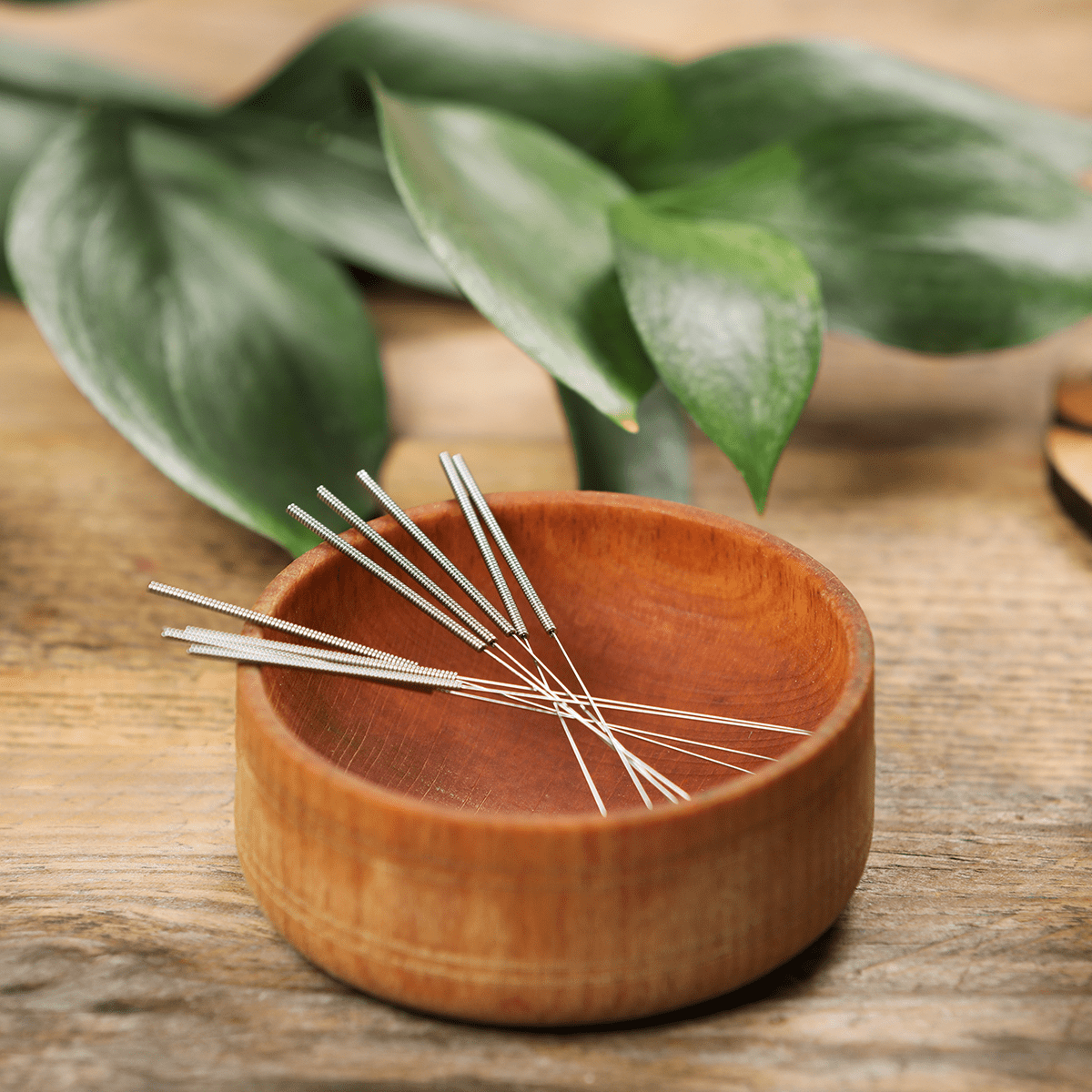 Wooden bowl with acupuncture needles on wooden table with plant leaves in background