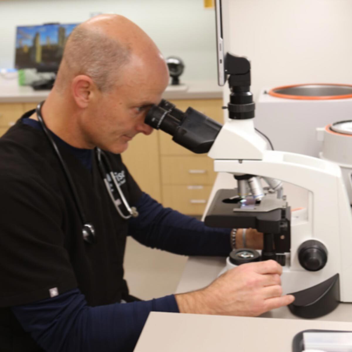 Dr Heller Looking At Specimen Through Microscope Dr Heller Looking At Specimen Through Microscope