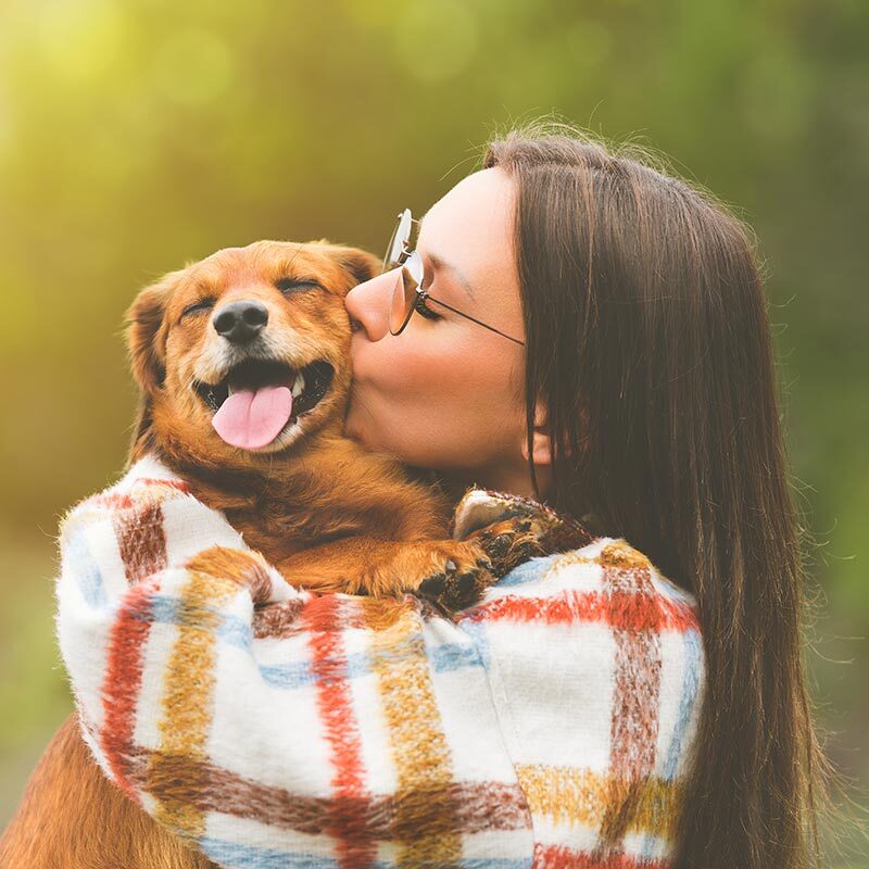 Female Holding And Kissing Happy Dog Outside