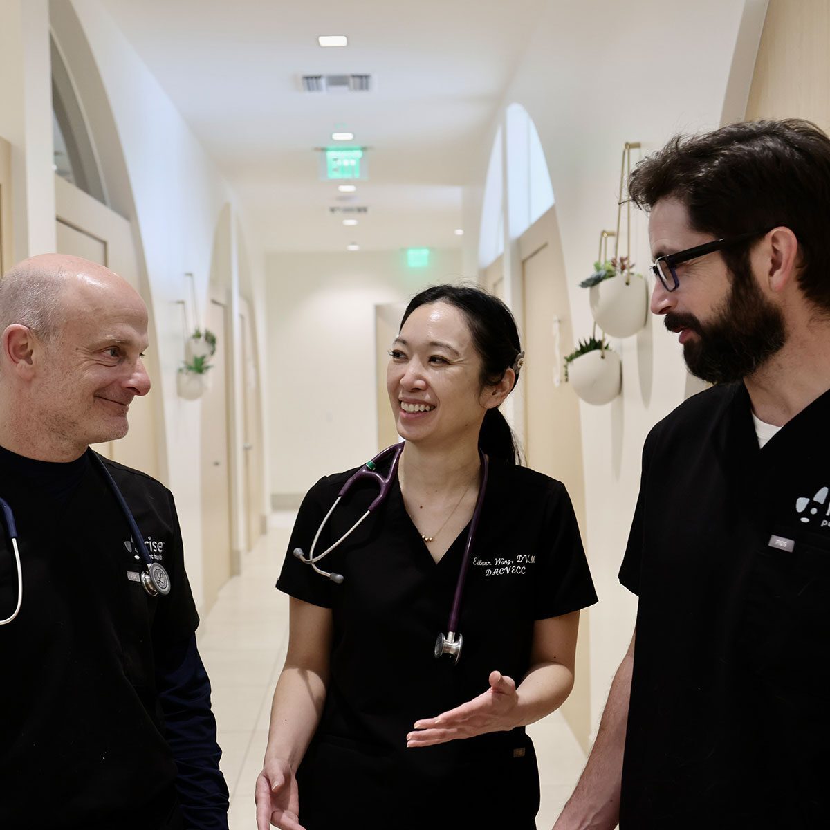Three Veterinarians Communicating In Hallway Three Veterinarians Communicating In Hallway