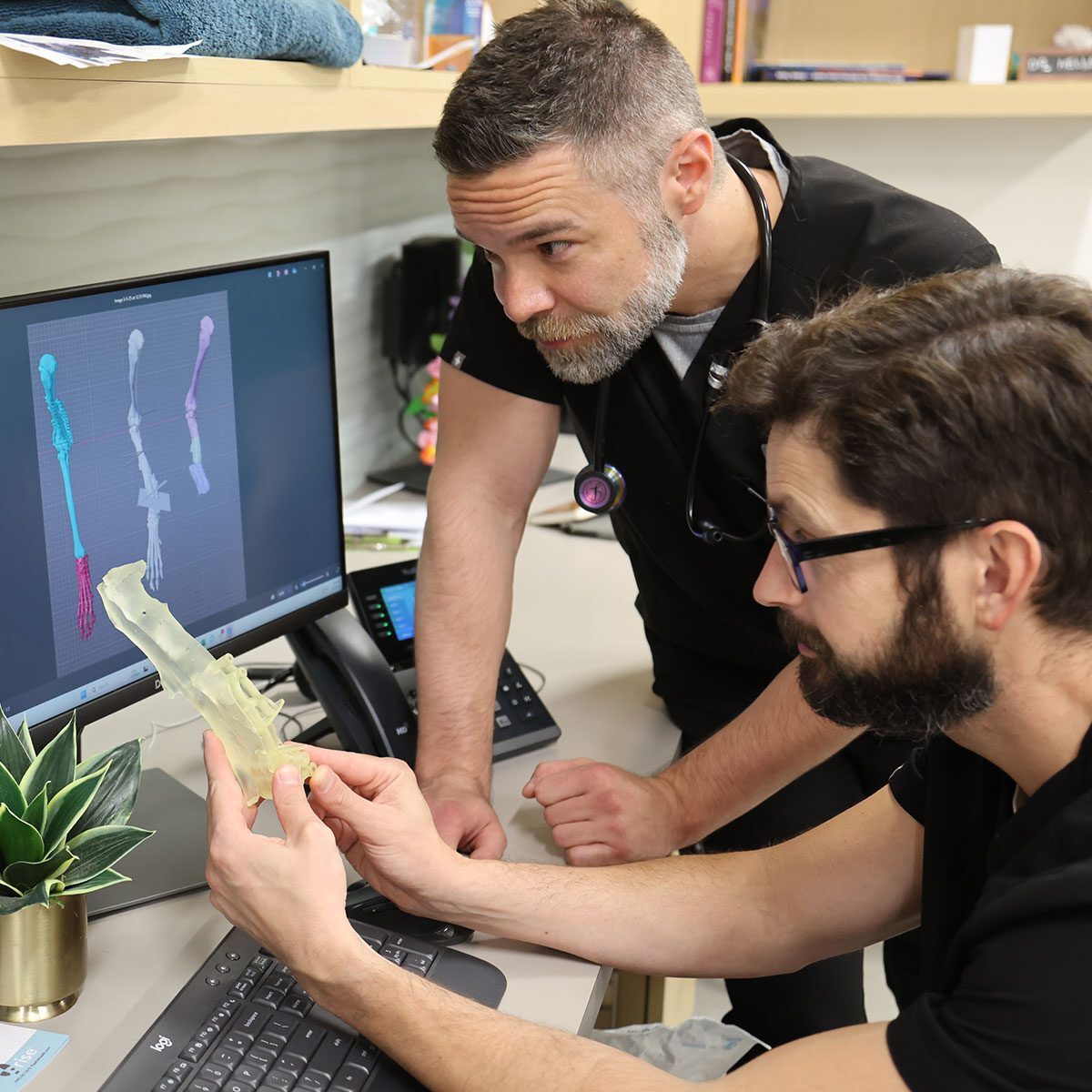 Two Male Veterinarians Discussing And Holding 3d Bone Two Male Veterinarians Discussing And Holding 3d Bone