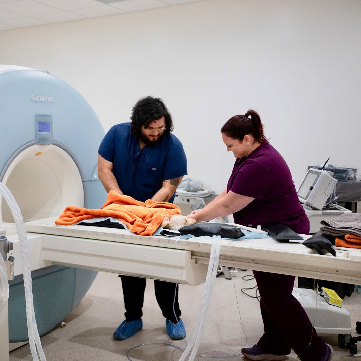 Vet Technicians With Patient Performing Mri